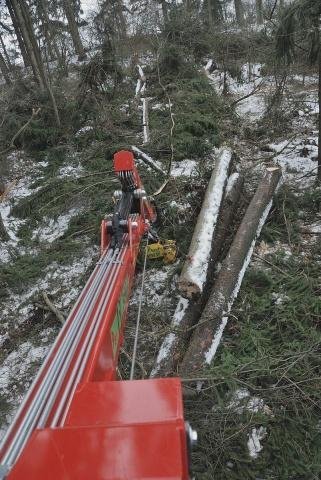 PKW Anhänger Holztransportanhänger PERZL type PRW 12-4 – Image 2